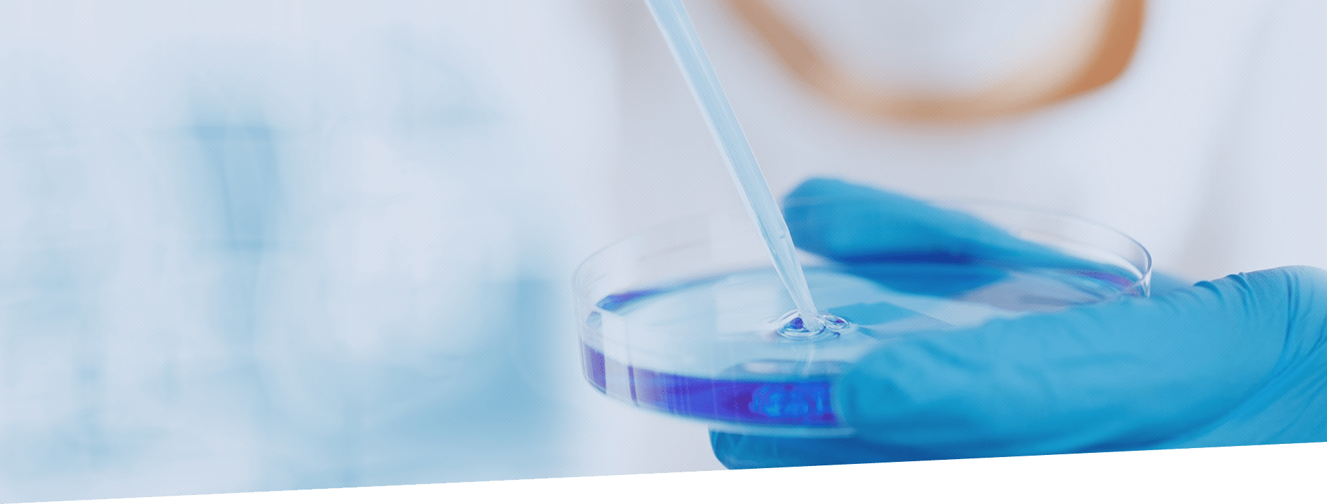 Ag亚洲集团(中国游)官方网站