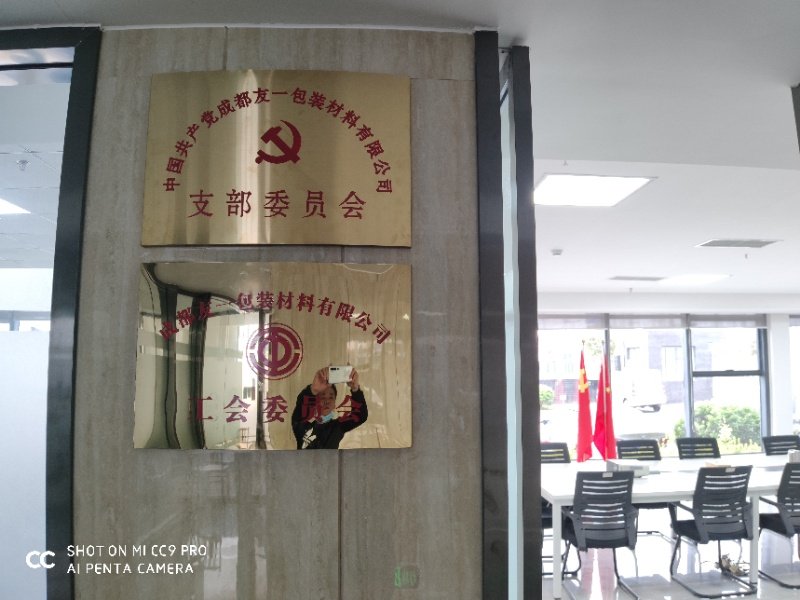 热烈祝贺Ag亚洲集团集团成都分公司党支部在2020年3月11日授牌建设，，支部书记曹云(行政部司理)